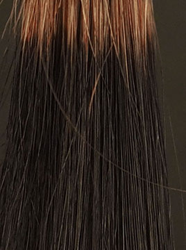 デイラルカラー カラートリートメントブラウンブリーチ毛4回染毛