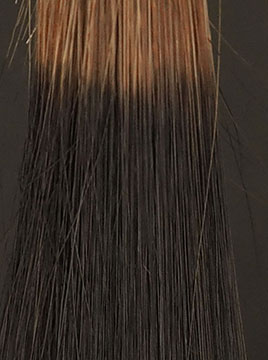 デイラルカラー カラートリートメントブラウンブリーチ毛5回染毛