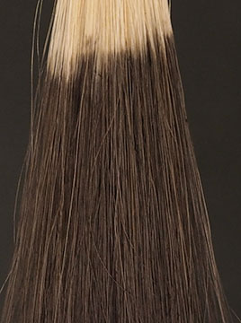 デイラルカラーの染毛結果