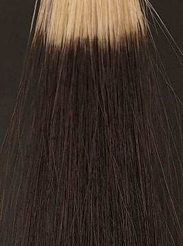 デイラルカラー|ヘアカラートリートメントの染毛結果(15分3回目)