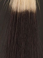 デイラルカラー｜ヘアカラートリートメント 染毛テスト結果