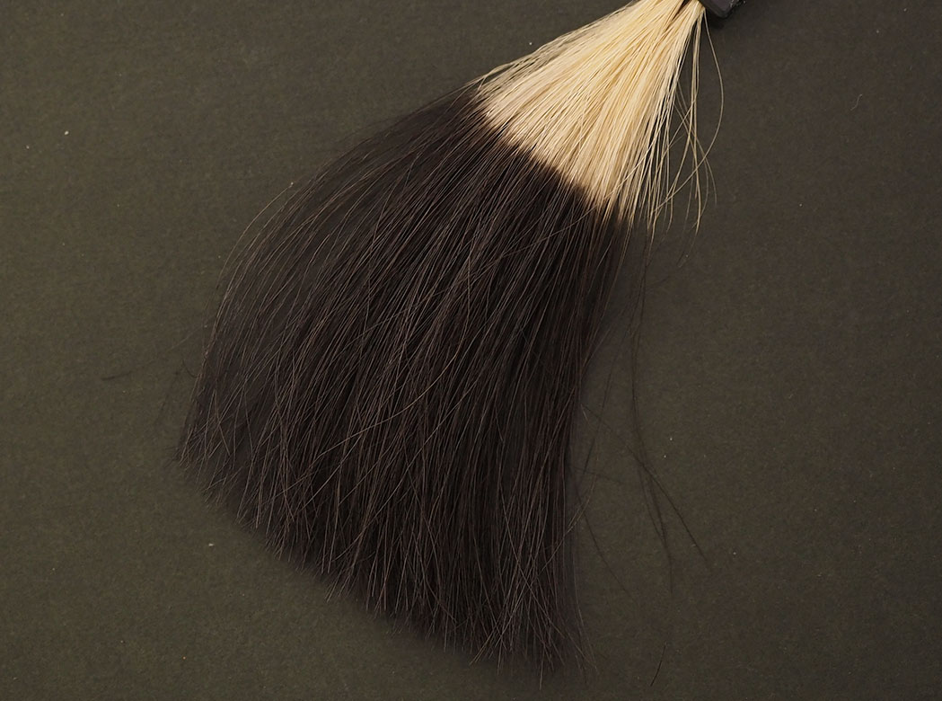 デイラルカラーの仕上がり