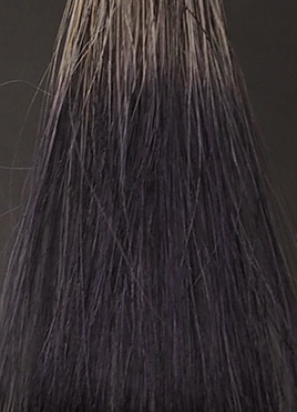 ヘアージュ ヘアカラーフォームナチュラルブラック15分染毛