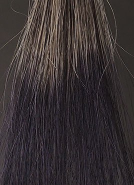 ヘアージュ ヘアカラーフォームナチュラルブラック30分染毛