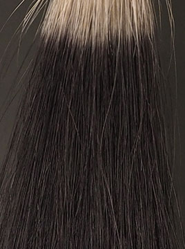 アデランス ヘアリプロナチュラルブラック5回染毛