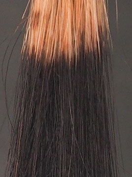 ハイブリーチ毛2回染毛