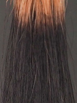 ハイブリーチ毛3回染毛