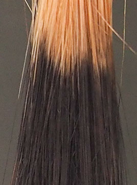 ハイブリーチ毛1回染毛