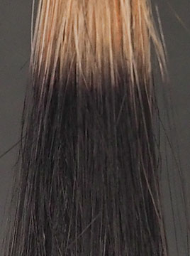 ハイブリーチ毛3回染毛