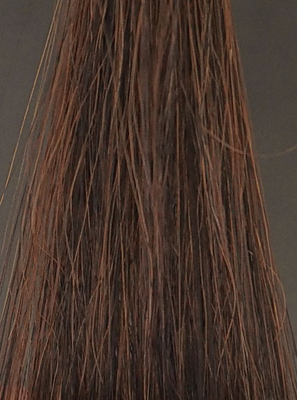 ハイステップダークブラウン5回染毛