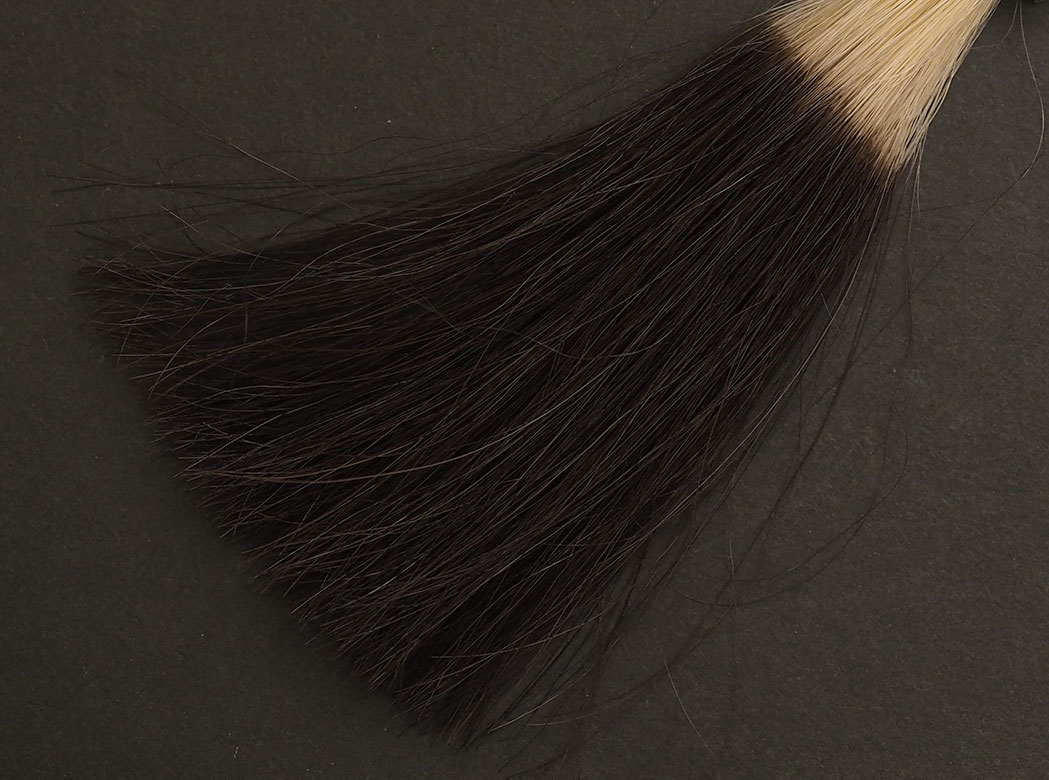 フラガール カラートリートメント アッシュブラウン5回染毛時