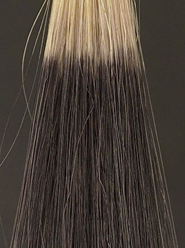 フラガール・カラートリートメントナチュラルブラック2回染毛