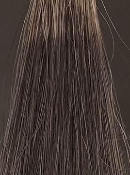 フラガール・カラートリートメントナチュラルブラック50%白髪2回染毛