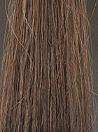 昆布の白髪用トリートメント 染毛テスト結果