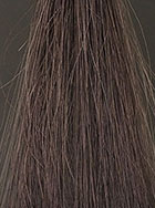 メンズビゲン｜カラーリンス 染毛テスト結果