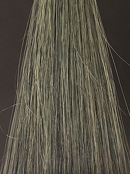 POLAブラック1回染毛