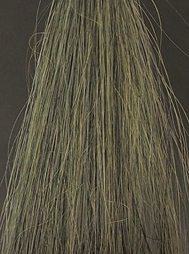 POLAブラック2回染毛