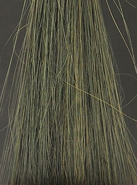 POLAブラック3回染毛