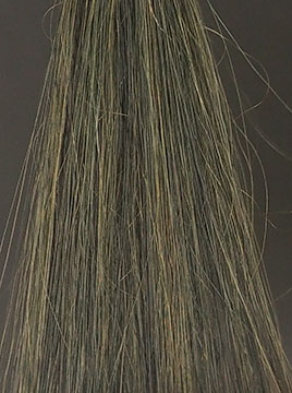 POLAブラック4回染毛