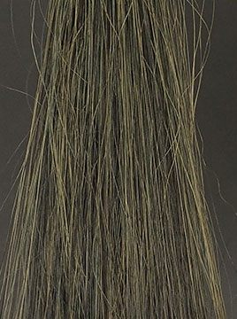 POLAブラック5回染毛