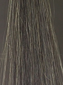 POLAブラック50%白髪1回染毛