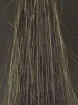 POLAブラック50%白髪2回染毛