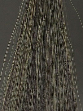 POLAブラック50%白髪3回染毛