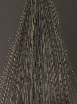 POLAブラック50%白髪4回染毛