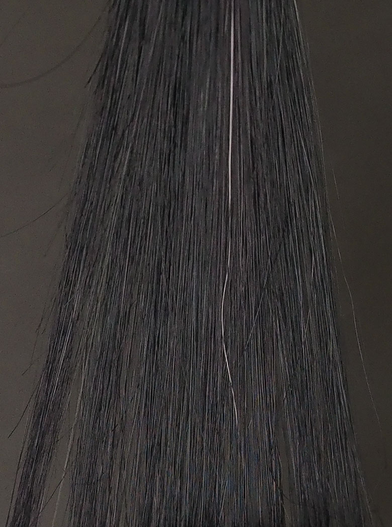 POLA50%白髪1回染毛