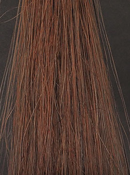 POLAグローイングショット カラートリートメントブラウン2回染毛