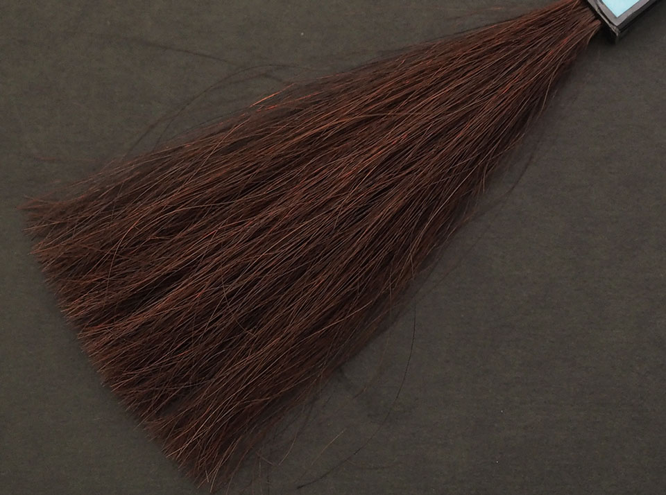 POLAグローイングショット カラートリートメントブラウン5回染毛