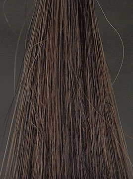 POLAグローイングショット カラートリートメントブラウン50%白髪1回染毛