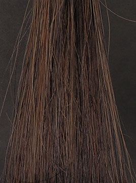 POLAグローイングショット カラートリートメントブラウン50%白髪2回染毛