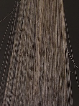 プリオールブラック1回染毛