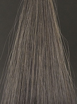 プリオールブラック2回染毛