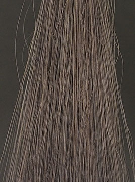 プリオールブラック3回染毛