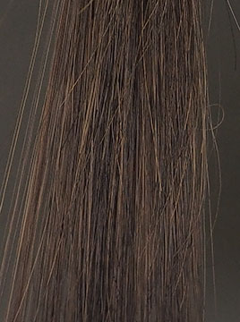 プリオールブラックブリーチ毛2回染毛