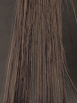 プリオールブラックハイブリーチ毛3回染毛