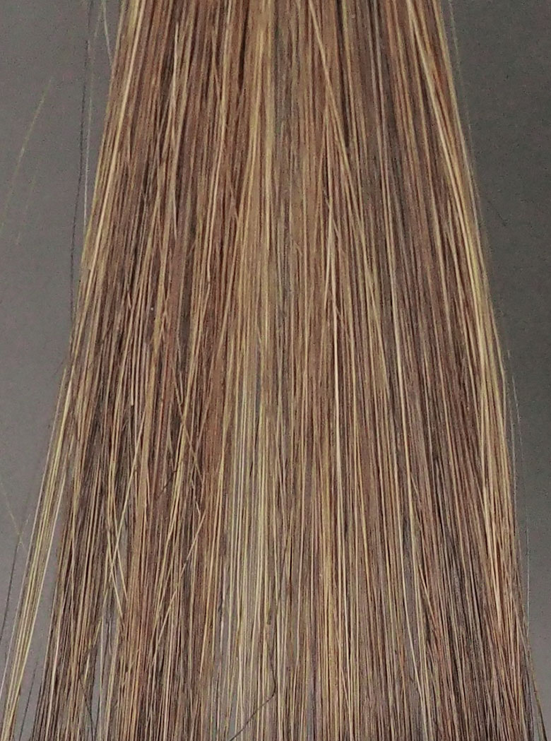 プリオールダークブラウンブリーチ毛2回染毛