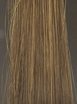 プリオールダークブラウンハイブリーチ毛1回染毛