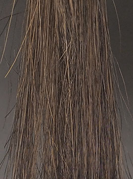 プリオールダークブラウンハイブリーチ毛3回染毛