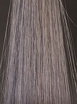 プリオールグレイ1回染毛