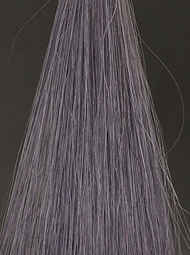 プリオールグレイ2回染毛