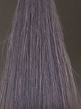 プリオールグレイ4回染毛