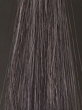 プリオールグレイ50%白髪1回染毛