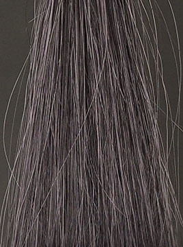 プリオールグレイ50%白髪3回染毛