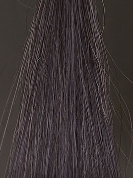 プリオールグレイ50%白髪4回染毛