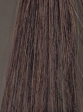 プリオールグレイブリーチ毛3回染毛