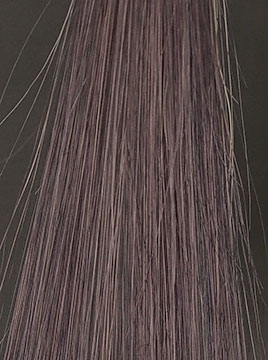 プリオールグレイハイブリーチ毛2回染毛