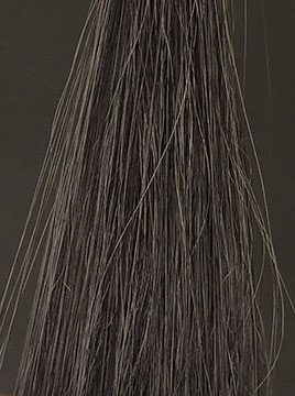 利尻ブラック1回染毛